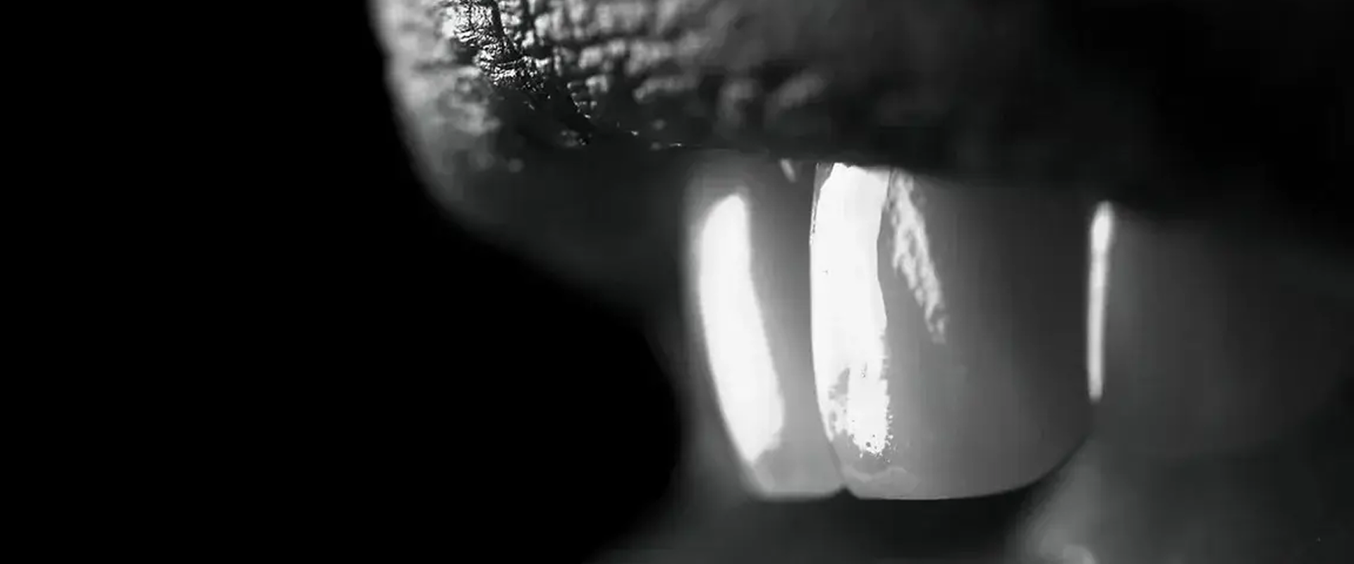 Offering Biomimetic Dentistry