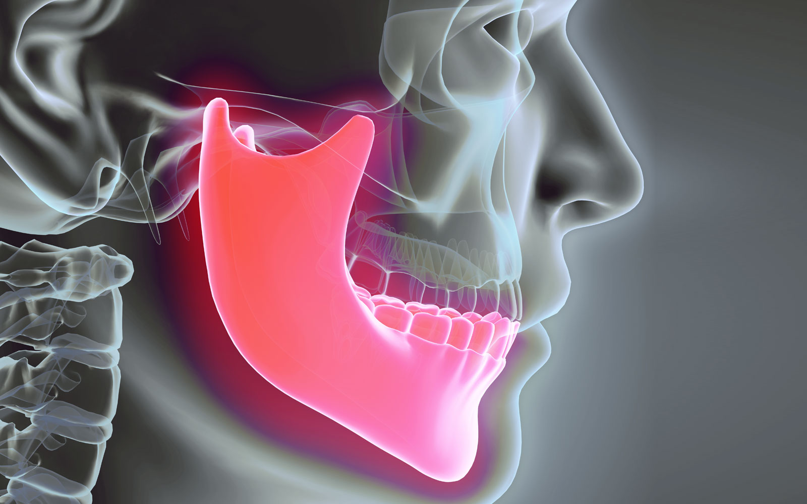 jaw bone graphic