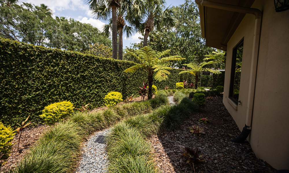 Countertops in storage area of dental office