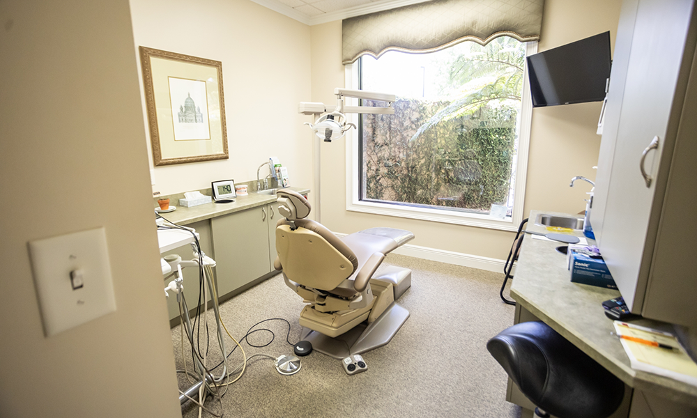 Close up of a fern like tree in front of dental office in Ocoee